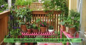 Meilleures plantes de balcon pour habiller votre espace