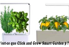 Qu'est-ce que Click and Grow Smart Garden 3 ?