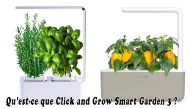 Qu'est-ce que Click and Grow Smart Garden 3 ?